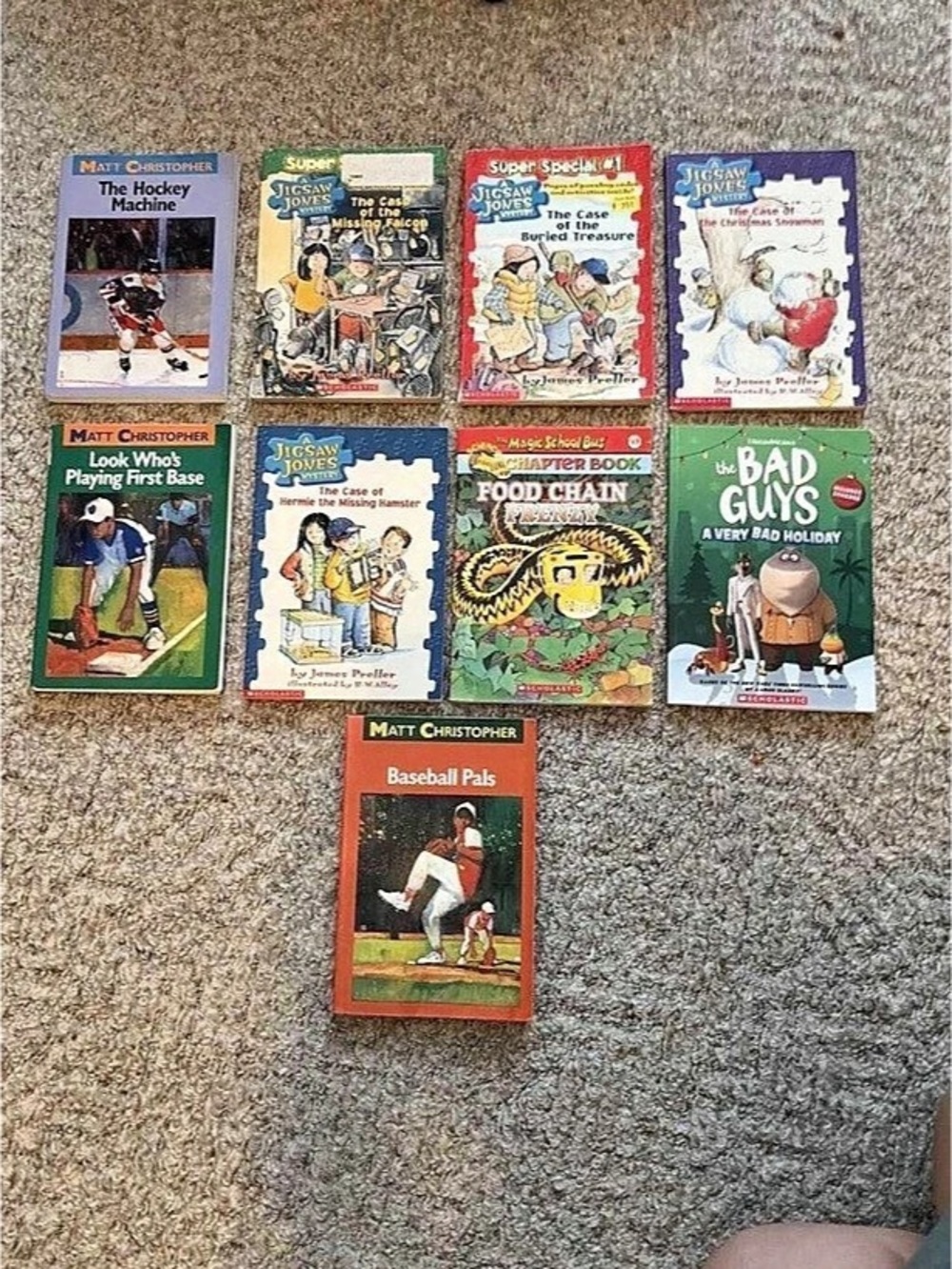 Chapter book lot